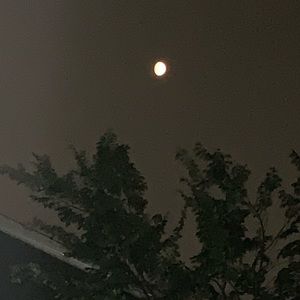 Meet your Posher, Ada